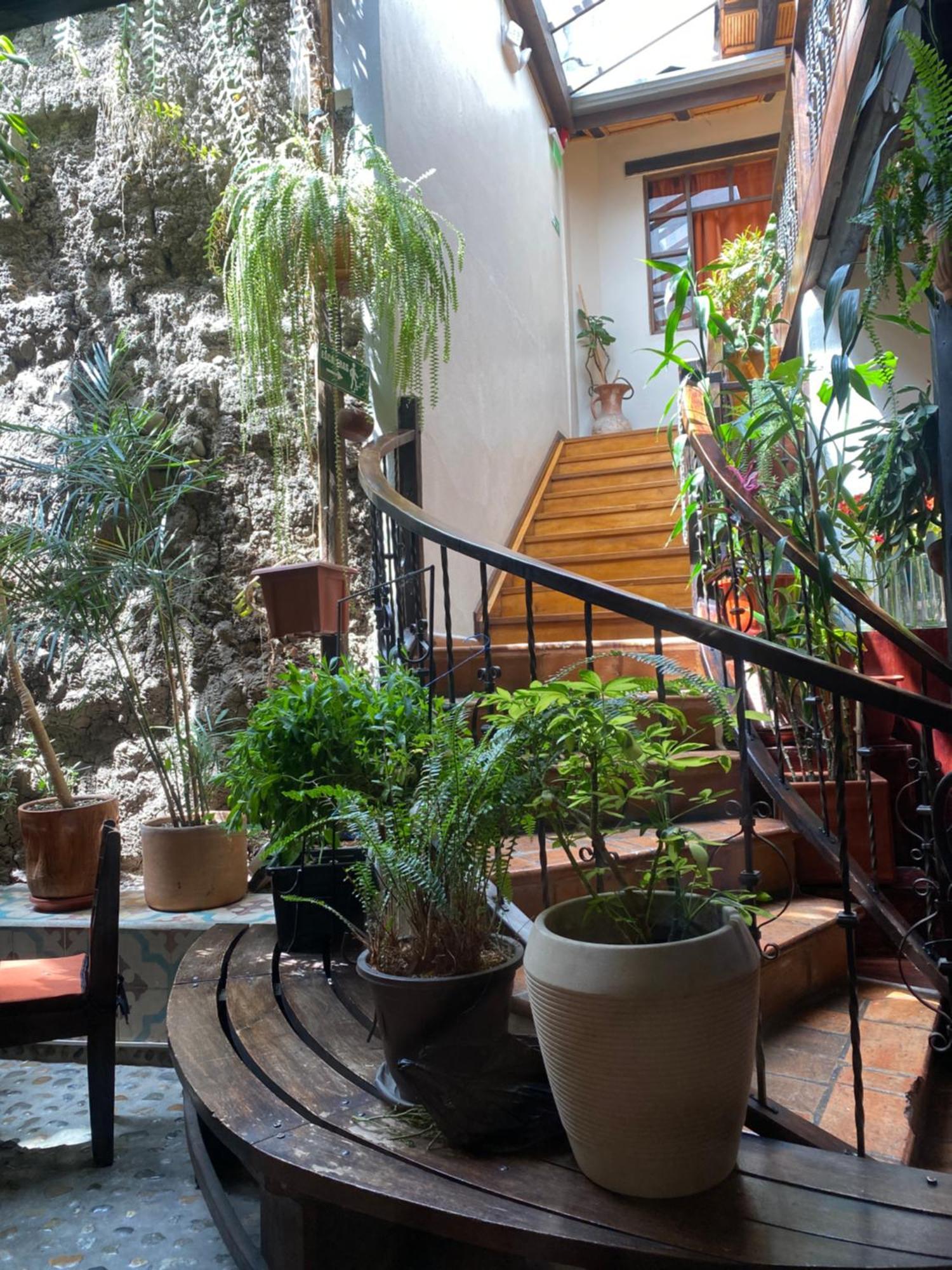 Hostal Restaurant La Cigale Cuenca Exterior photo